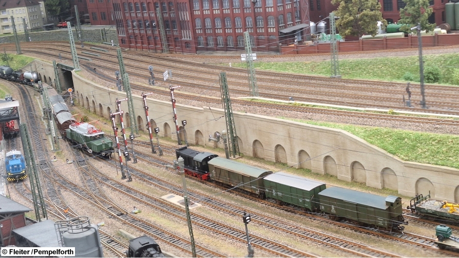 8-FocusStack_190818 KL.jpg