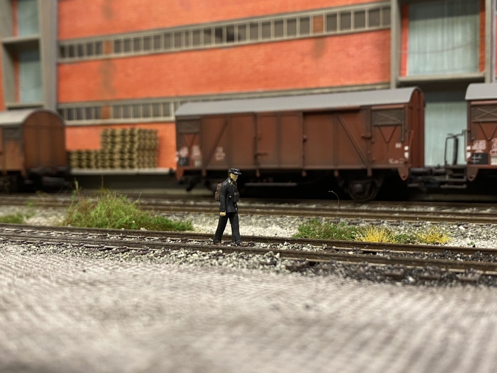 Bild 2 Streckengeher-min.jpeg