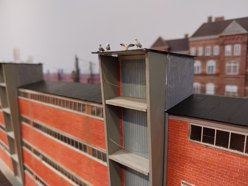 Bild 20 Möwen-min.jpg